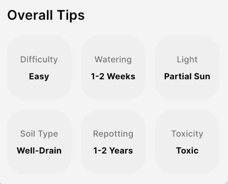 Rootin overall tips screen